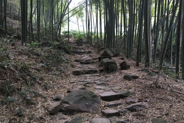 “贡茶古道”是一条翻越啄木岭的山路