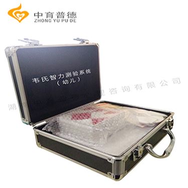 韦氏智力系统厂家_医院智力测验(图1)