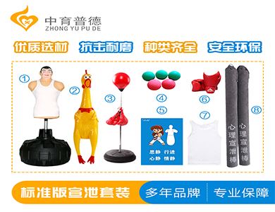 心理宣泄仿真人_宣泄人设备_发泄设备(图1)